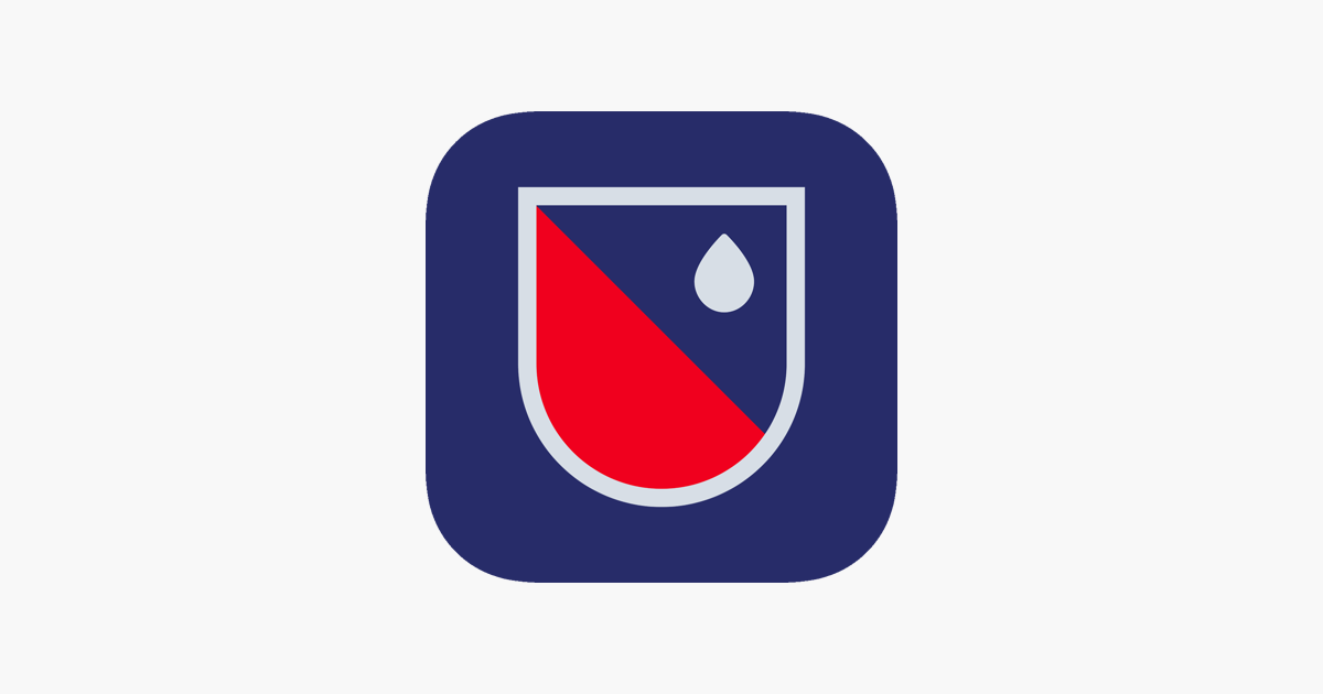 découvrez comment béatrice faizant façonne la vision marketing de bayard, en mettant l'accent sur l'innovation, la stratégie éditoriale et l'engagement des lecteurs.