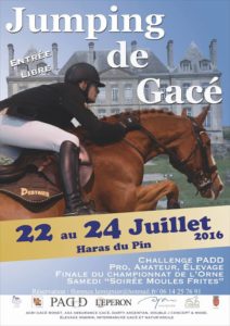découvrez tout sur les championnats jeunes chevaux : calendrier, conseils d’entraînement, critères de sélection et résultats des compétitions dédiées aux espoirs de l’élevage équestre.