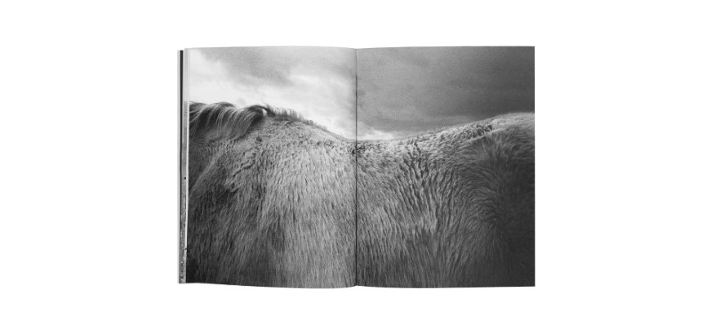 découvrez la série photographique 'horses' de jane evelyn atwood, une exploration sensible et artistique de la relation unique entre l’homme et le cheval à travers des images poétiques et intimes.