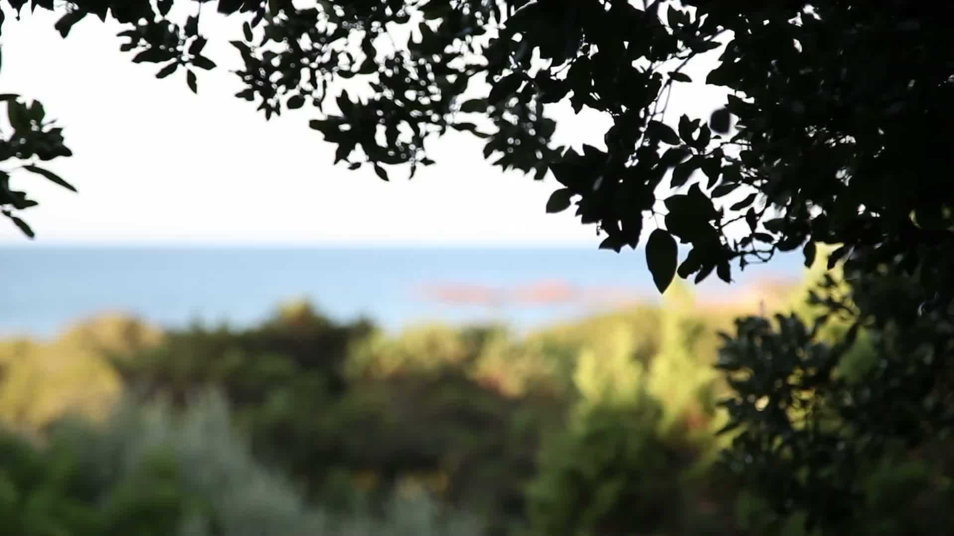 découvrez murtoli, un paradis naturel en corse où la nature préservée se mêle au luxe authentique. profitez de paysages sauvages, de plages idylliques et d'une expérience unique au cœur de l'île de beauté.