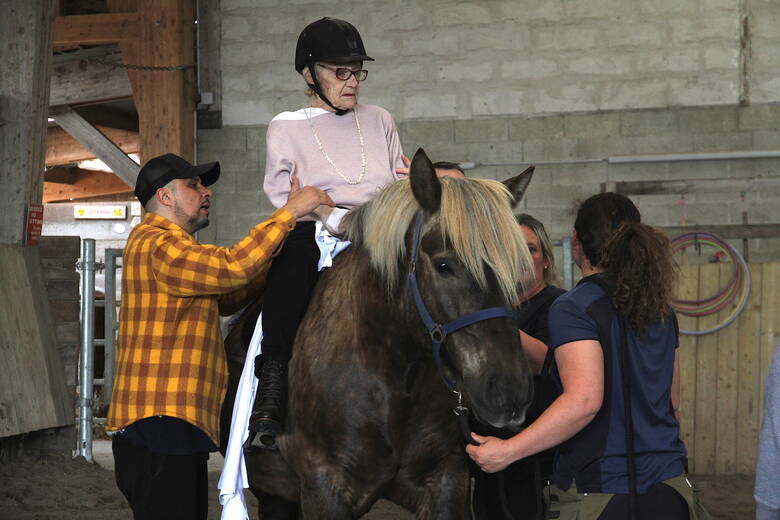 découvrez la saison 5 dédiée aux chevaux lents : analyses, conseils et actualités pour les passionnés d'équitation et de courses de chevaux peu rapides. suivez nos experts pour tout savoir sur ces chevaux uniques !