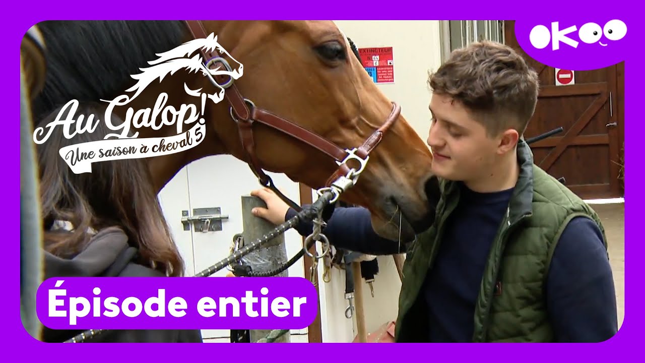 découvrez la saison 5 consacrée aux chevaux lents : analyses, histoires captivantes et portraits de ces chevaux atypiques qui avancent à leur rythme. plongez dans l'univers passionnant de ces champions inattendus !