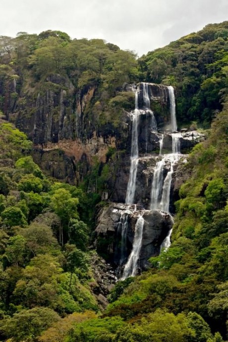 découvrez pourquoi la tanzanie est une destination incontournable pour les voyageurs : safaris dans des parcs exceptionnels, plages paradisiaques, cultures fascinantes et aventures inoubliables vous attendent !