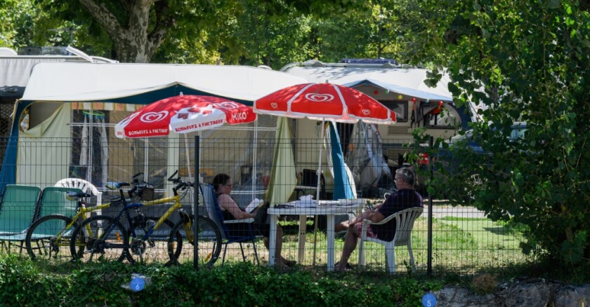 découvrez comment le trafic d'hormones touche le bois de boulogne, ses enjeux, ses impacts sur la santé et les actions en cours pour lutter contre ce phénomène préoccupant.