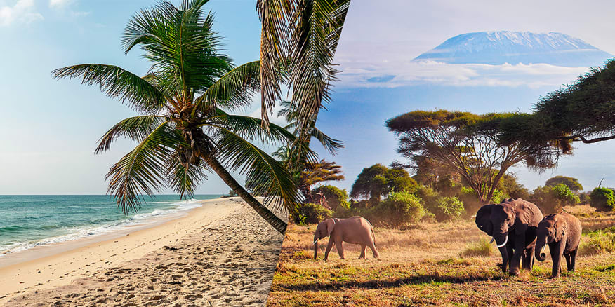 découvrez le kenya à travers des safaris inoubliables et des plages paradisiaques. partez à l’aventure pour observer la faune sauvage et détendez-vous sur le littoral de l’océan indien. préparez votre voyage au kenya entre nature et détente.