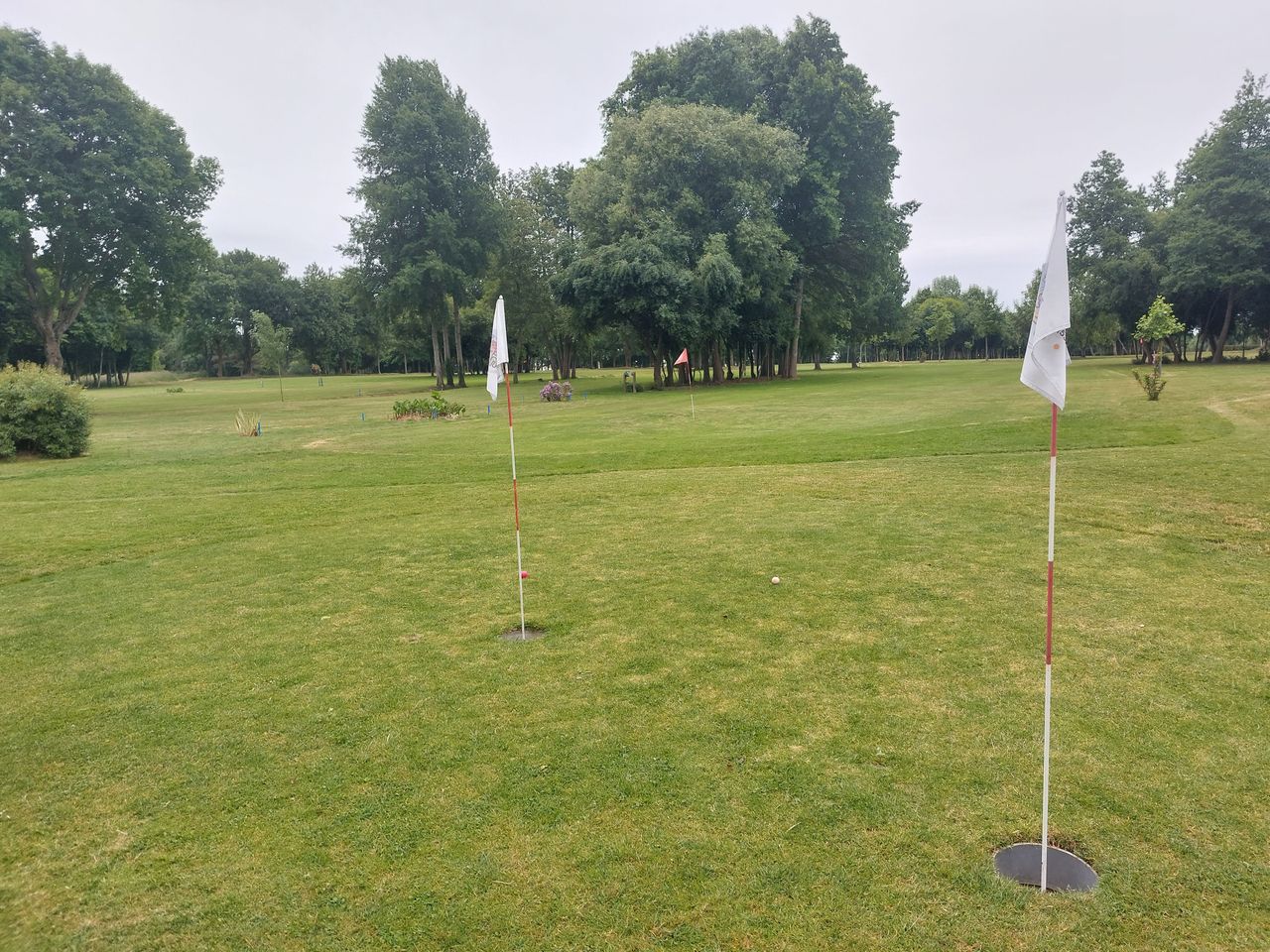 découvrez tout sur le championnat de swin golf : dates, lieux, règles et conseils pour participer ou assister à cet événement sportif convivial et accessible à tous.