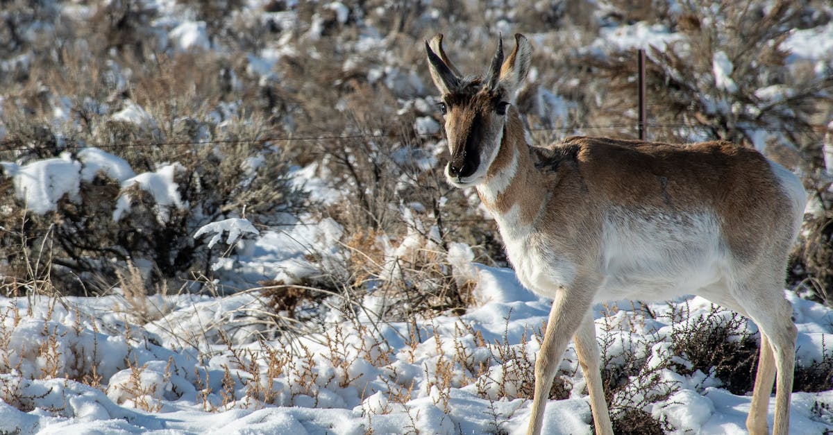découvrez les expériences inspirantes d’étudiantes en commerce : parcours, réussites, défis et conseils pour réussir dans ce domaine dynamique et plein d’opportunités.