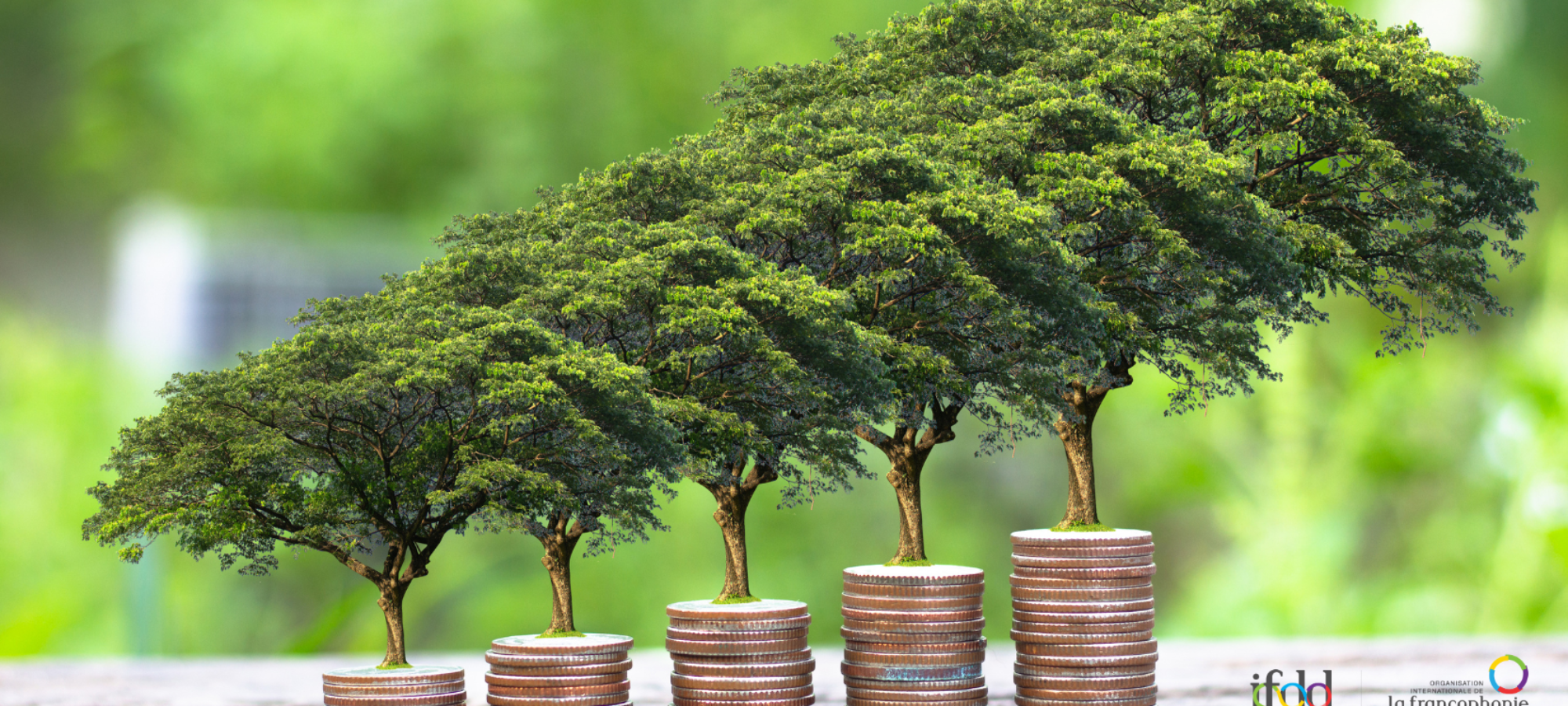 découvrez comment la finance verte contribue à la protection climatique en soutenant des projets durables et en favorisant la transition écologique. informez-vous sur les solutions financières responsables pour un avenir respectueux de l'environnement.