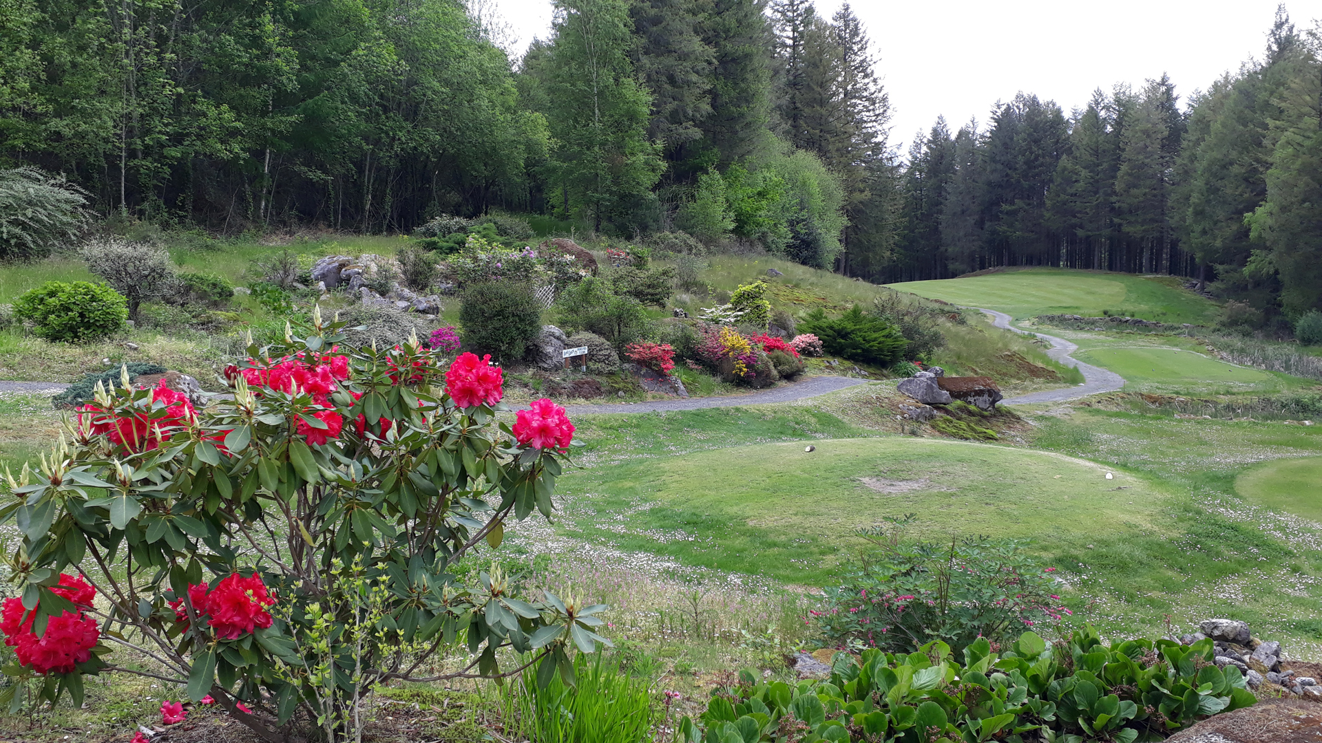 découvrez le golf à lourdes : profitez d’un parcours exceptionnel au pied des pyrénées, dans un cadre naturel unique, idéal pour jouer et se détendre en famille ou entre amis.