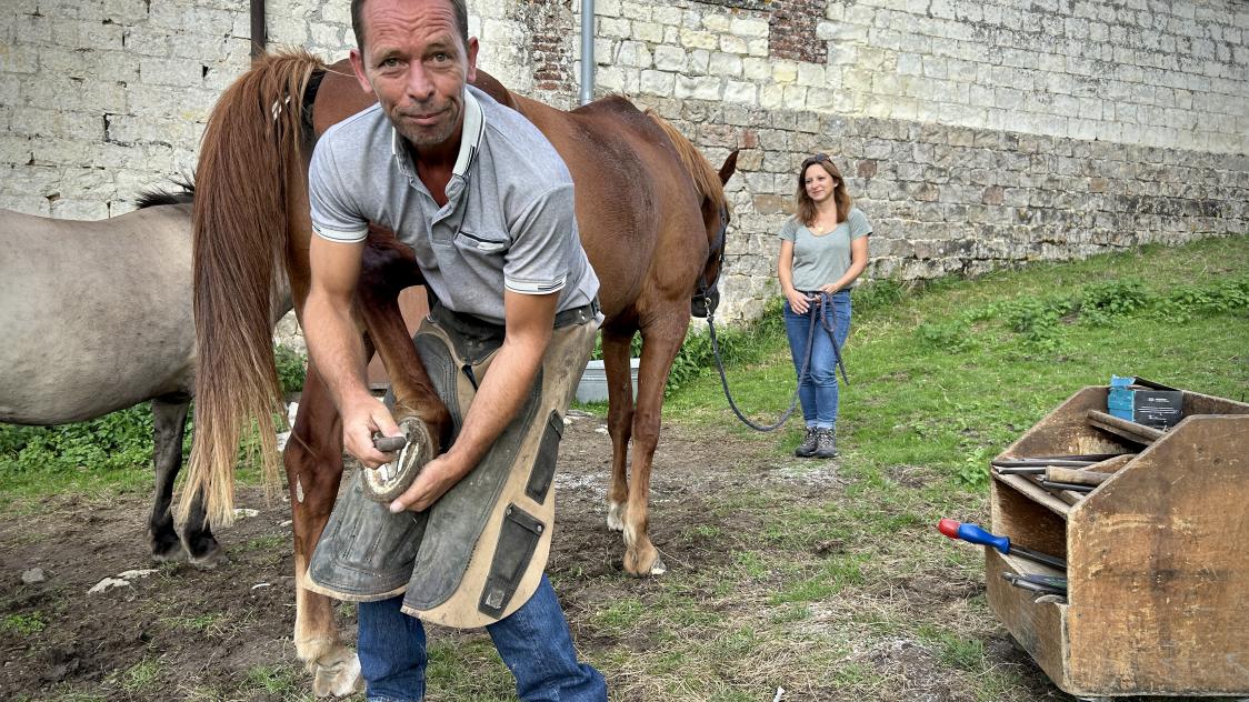 découvrez l'évolution du métier de maréchal-ferrant à travers les siècles : de l'artisanat traditionnel aux techniques modernes, explorez le rôle essentiel de ce professionnel pour le bien-être des chevaux.
