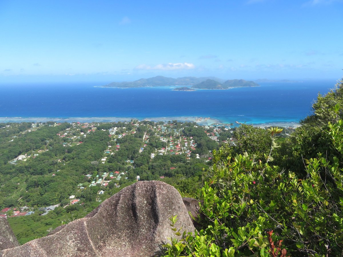 découvrez le phénomène naturel des nids d'aigle, leur origine, leur signification et les plus beaux lieux à travers le monde où les observer. un voyage fascinant au cœur de la nature sauvage.