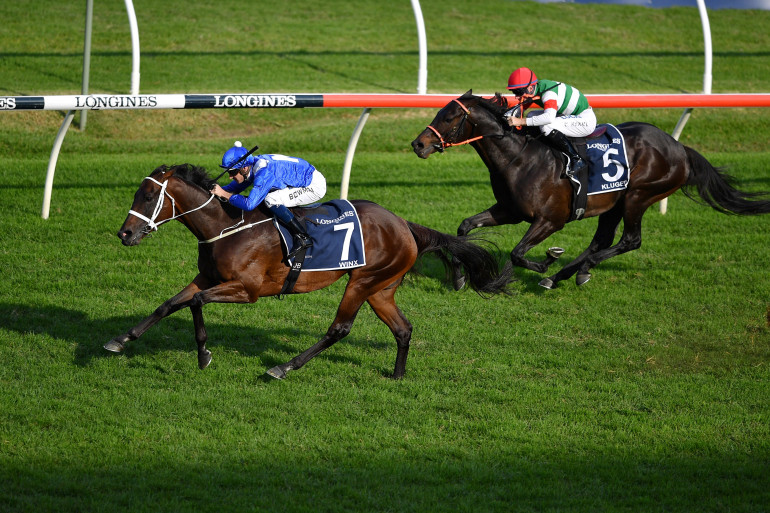 découvrez nos pronostics quinté pour la réunion hippique de clairefontaine : analyses, conseils et chevaux favoris pour maximiser vos chances de gagner sur le turf !