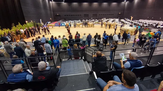 découvrez notre année chargée riche en projets et récompenses, fruit de notre engagement et de notre passion.