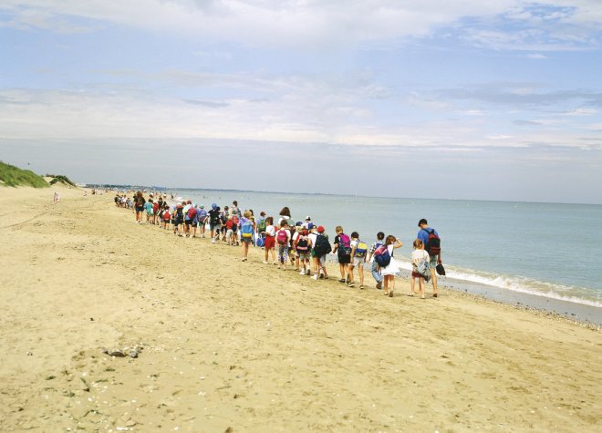 découvrez les raisons de la baisse des voyages de vacances et ses impacts sur le tourisme. analyse des tendances actuelles et conseils pour préparer vos prochaines escapades.