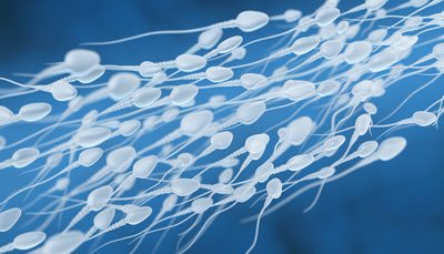 découvrez notre banque de sperme réservée aux donneurs avec un quotient intellectuel (qi) supérieur ou égal à 85, garantissant qualité et fiabilité pour vos besoins en fertilité.