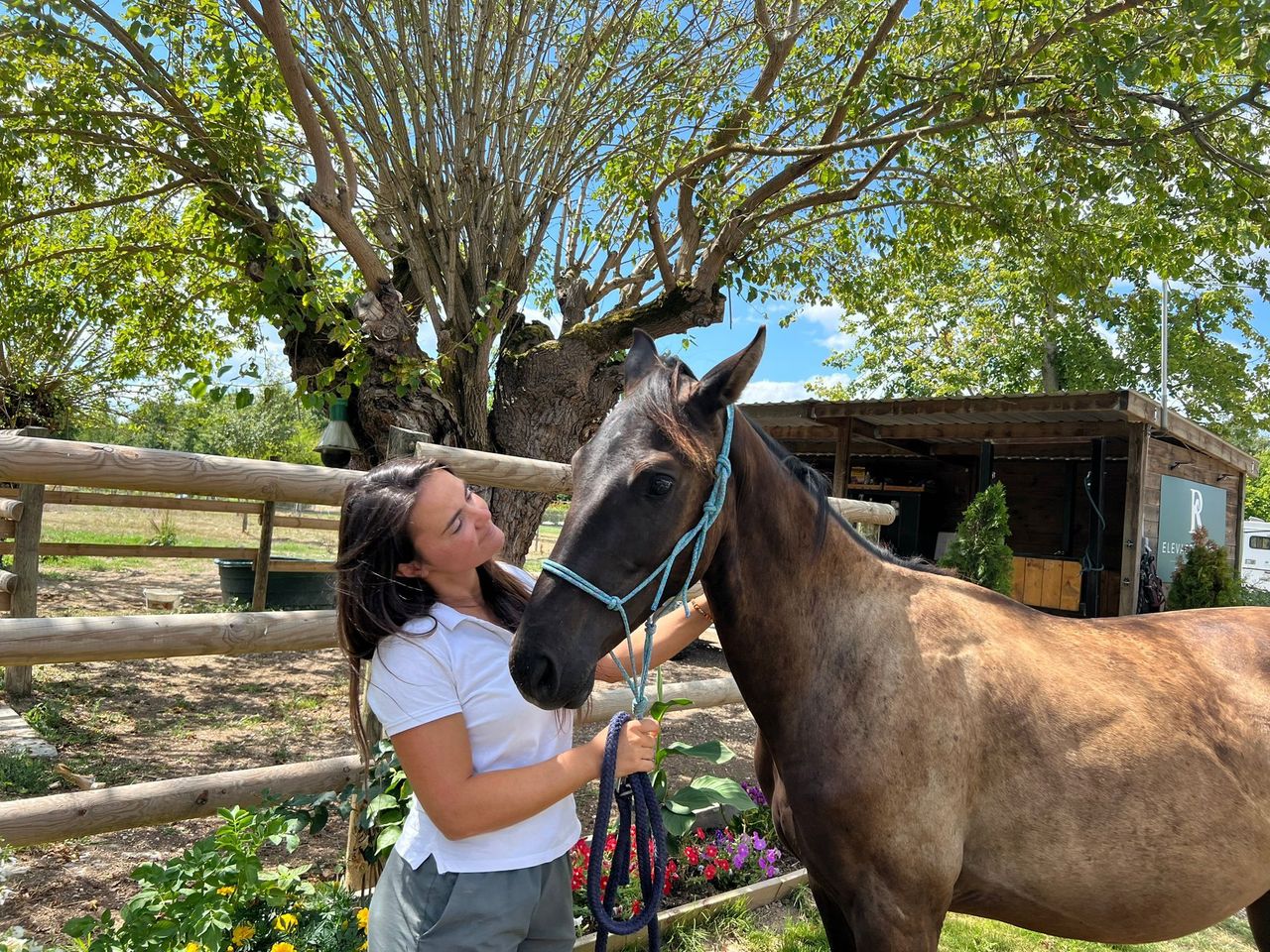 découvrez le parcours unique de célia en aveyron, mêlant sa passion pour l'asie à une carrière exceptionnelle.