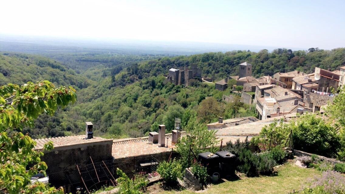 découvrez comment les chevaux contribuent à la préservation de la nature à quiberon en entretenant les espaces naturels de manière écologique et durable.