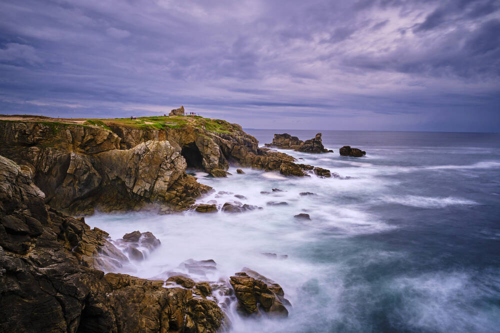 découvrez comment les chevaux contribuent à la préservation de la nature à quiberon en entretenant les espaces naturels de manière écologique et durable.