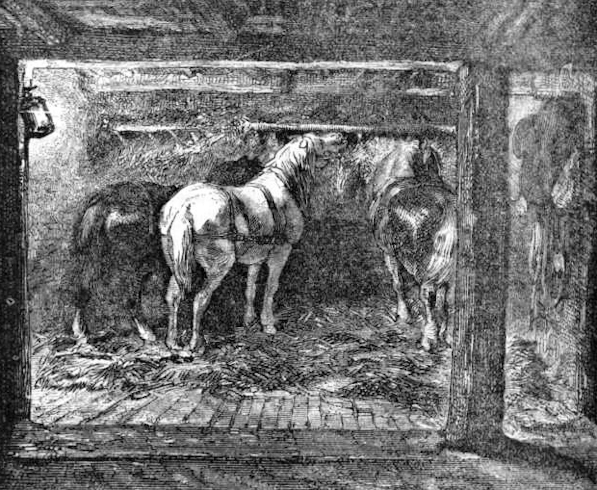 découvrez le destin tragique des chevaux dans les mines, leur rôle essentiel et les souffrances qu'ils ont endurées dans les profondeurs souterraines.