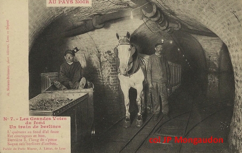 découvrez le destin tragique des chevaux utilisés dans les mines, leur rôle essentiel et les épreuves qu'ils ont dû endurer au fil de l'histoire.