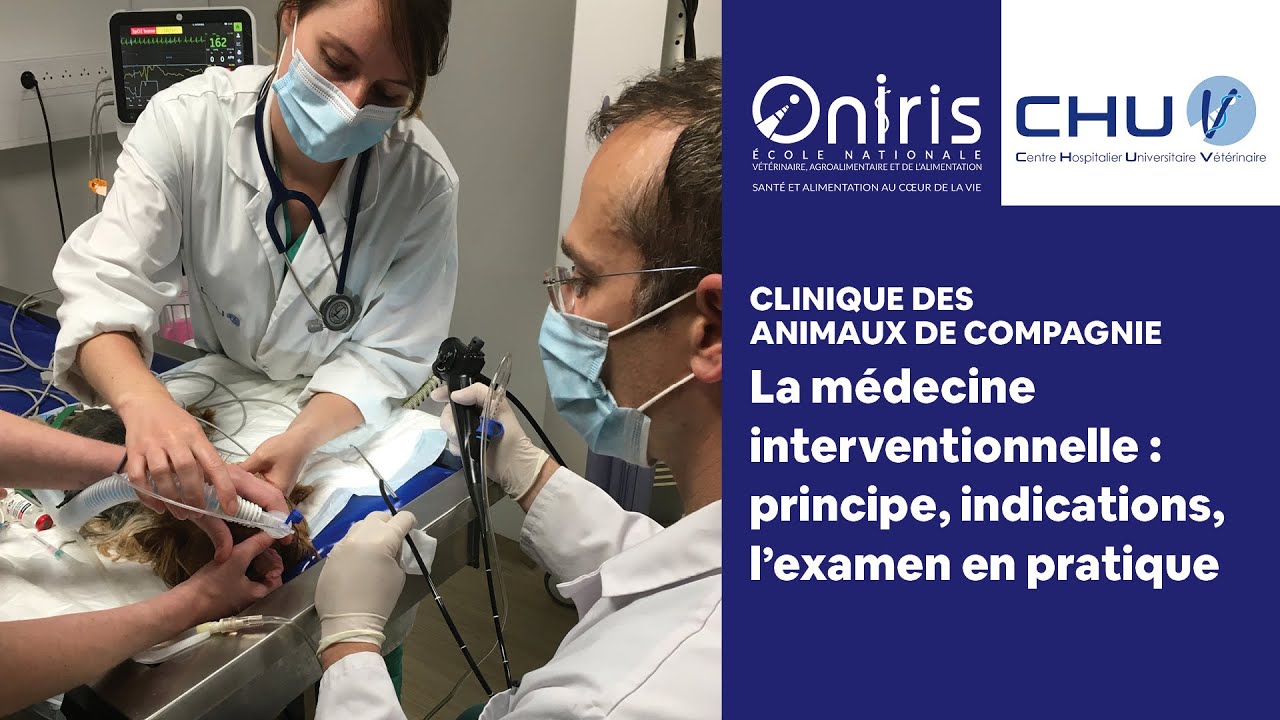 une étudiante vétérinaire se prépare à réaliser des interventions chirurgicales dans le cadre de missions spatiales, alliant compétences médicales et exploration spatiale.