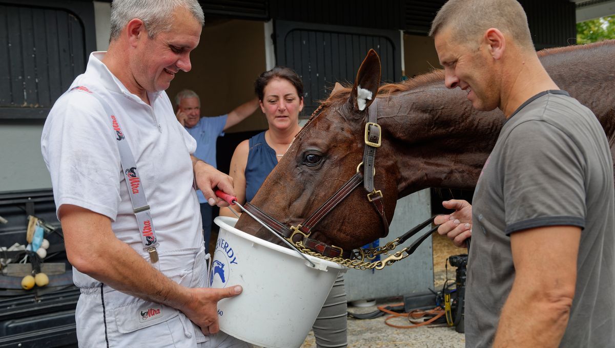 découvrez l'histoire émouvante de 'la sagesse prime', un entraîneur de chevaux renommé de l'ouest qui tire sa révérence après une carrière exceptionnelle.