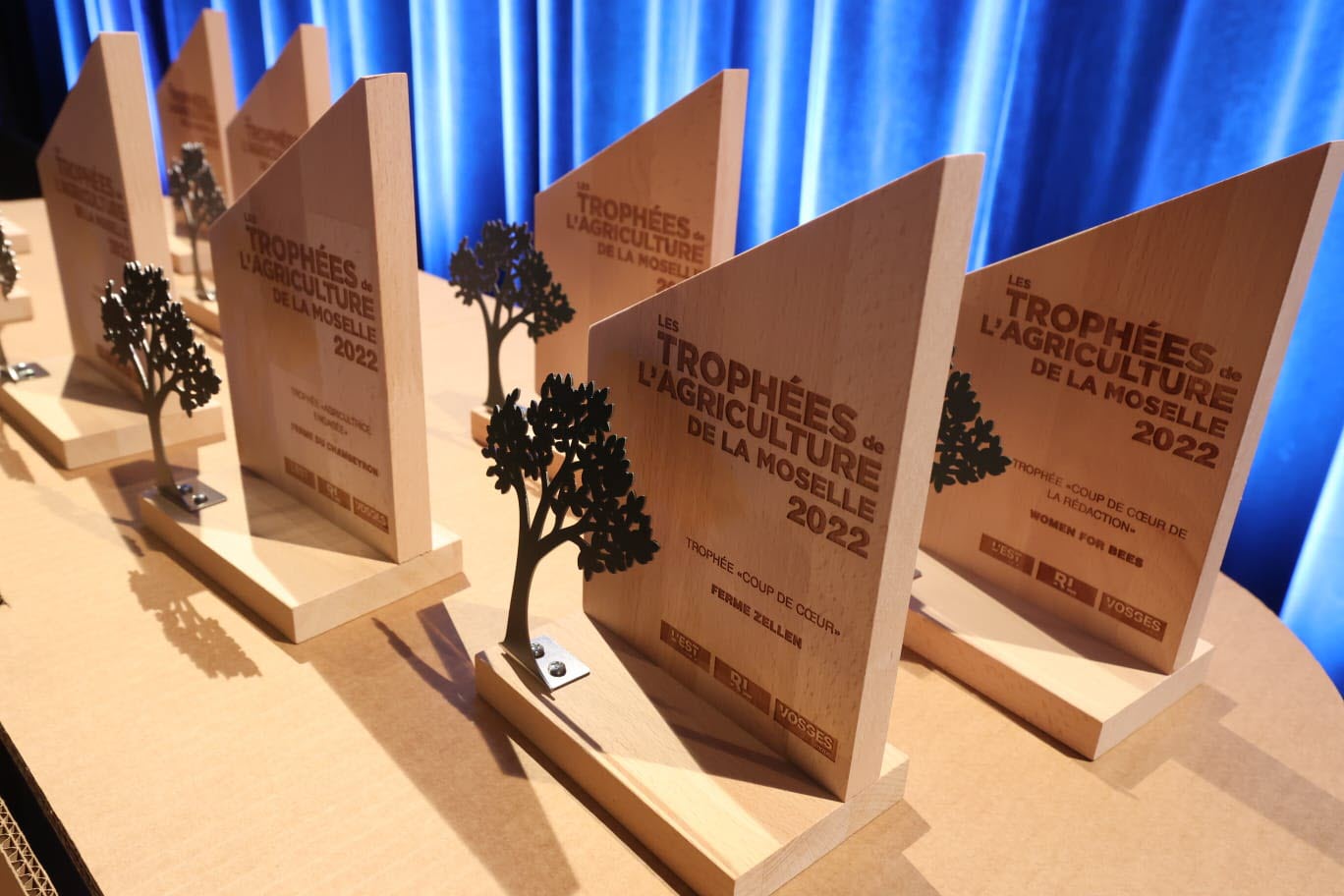 découvrez les lauréats 2025 des trophées courses et élevage, récompensant l'excellence dans le monde hippique et l'élevage de qualité.