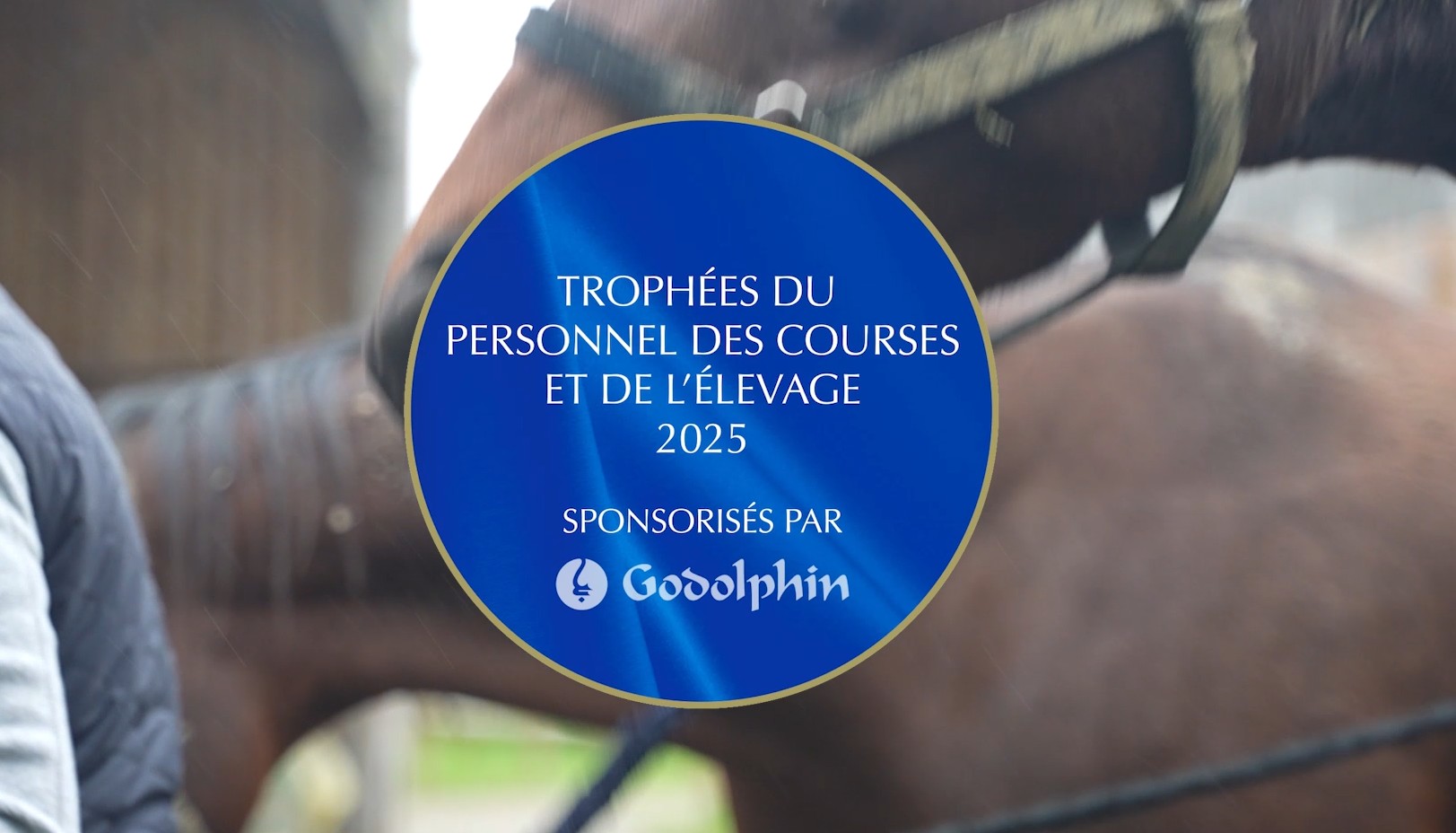 découvrez les lauréats 2025 des trophées courses et élevage, mettant à l'honneur l'excellence et l'innovation dans le monde hippique.