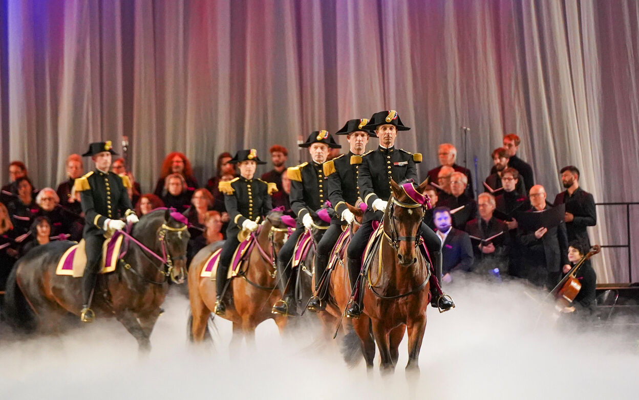découvrez comment mathieu ramène ses chevaux depuis megève avec soin et passion, alliant expertise équestre et amour du patrimoine montagnard.