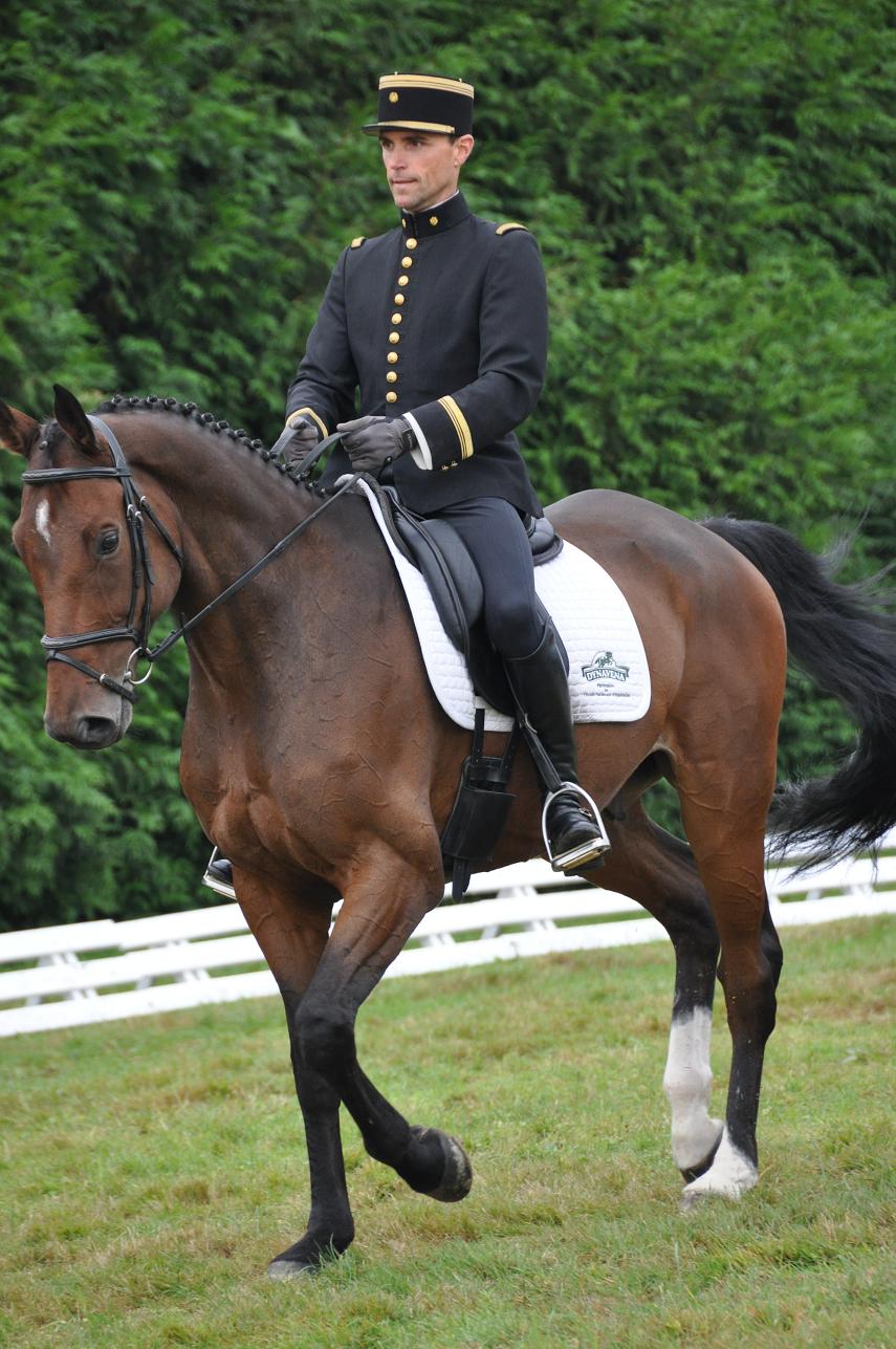 découvrez comment mathieu ramène les chevaux de megève, entre passion équestre et paysages alpins.