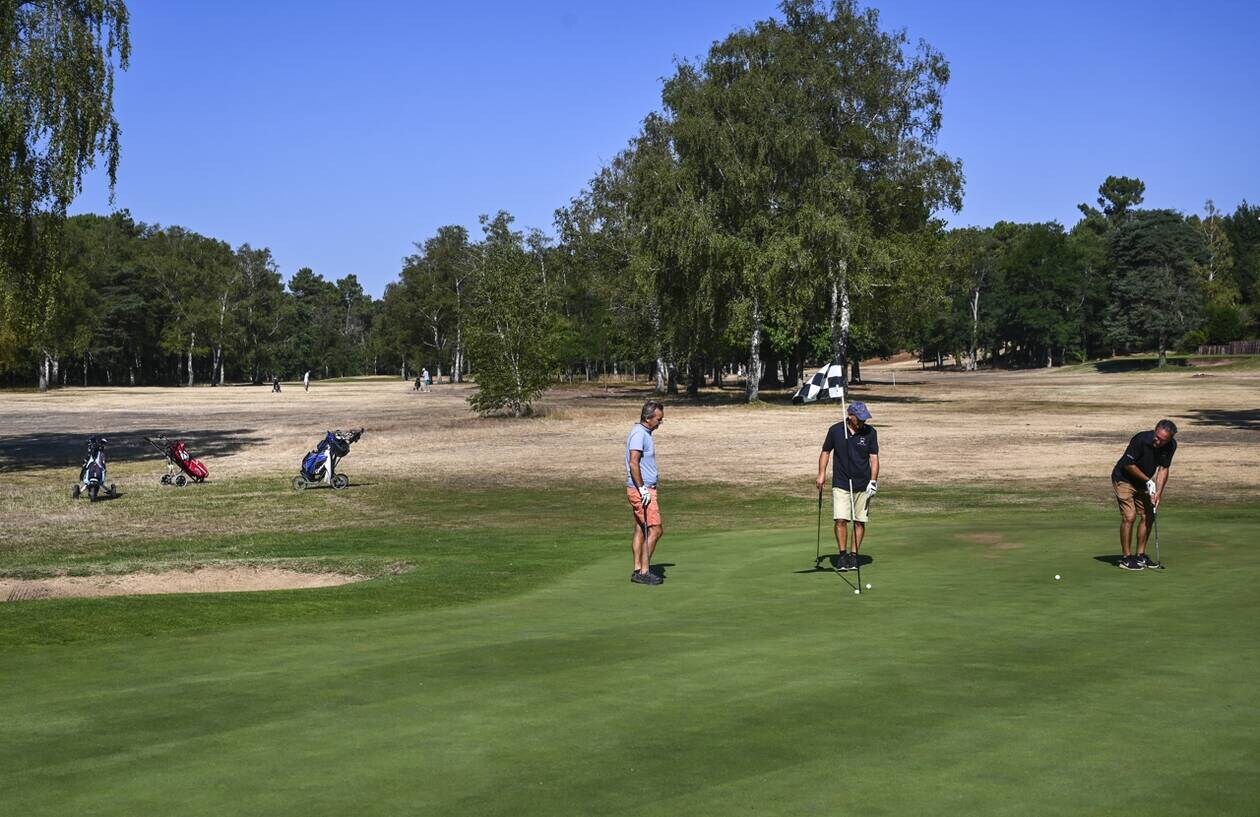 découvrez comment mulsanne incarne l’excellence au golf grâce à son savoir-faire, ses équipements haut de gamme et son engagement envers la performance sur les greens.