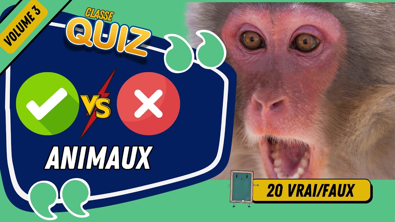 découvrez les vérités et idées reçues sur l'alimentation des animaux, ainsi que les choix alimentaires adaptés pour leur santé et bien-être.