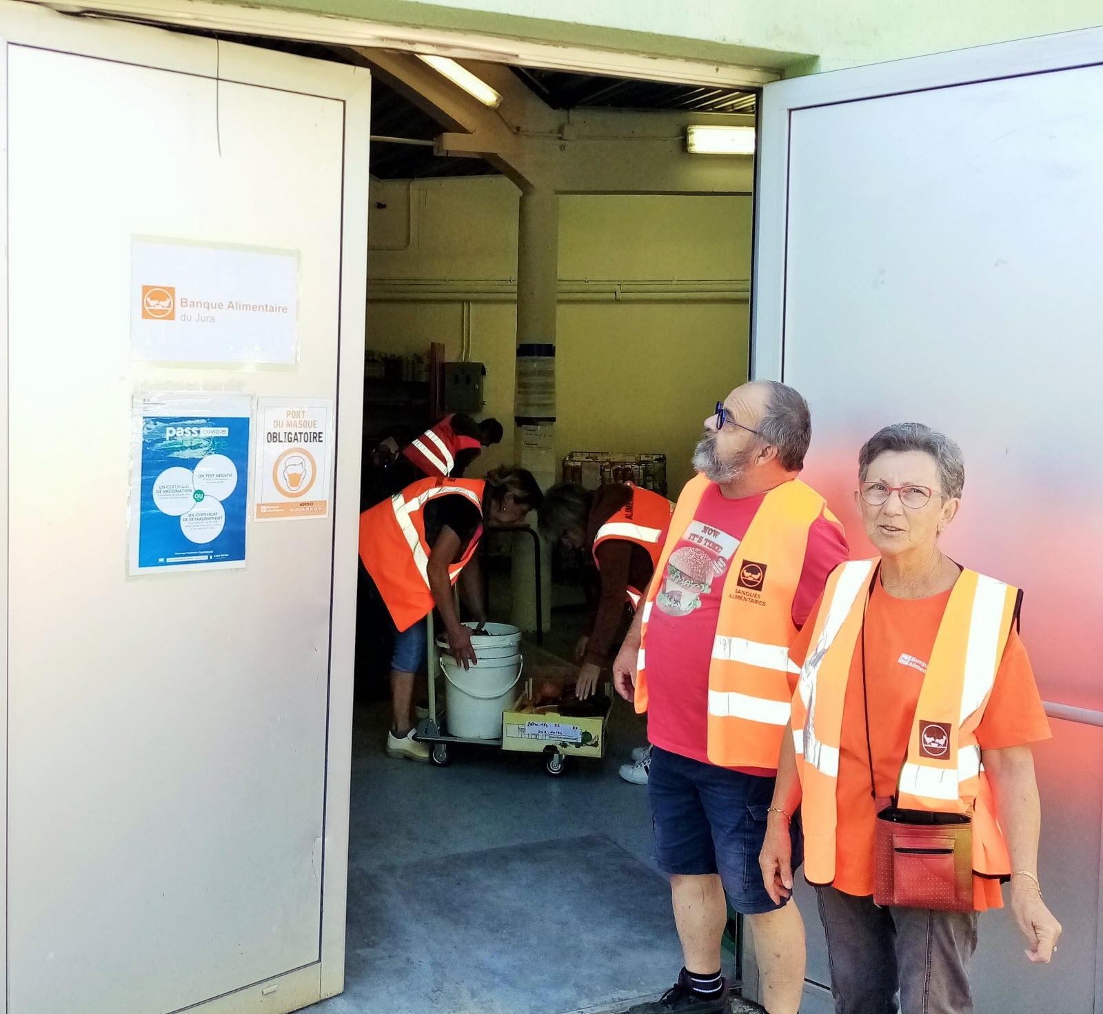 découvrez les vérités et les idées reçues sur l'alimentation des animaux, ainsi que les choix alimentaires adaptés pour leur bien-être.