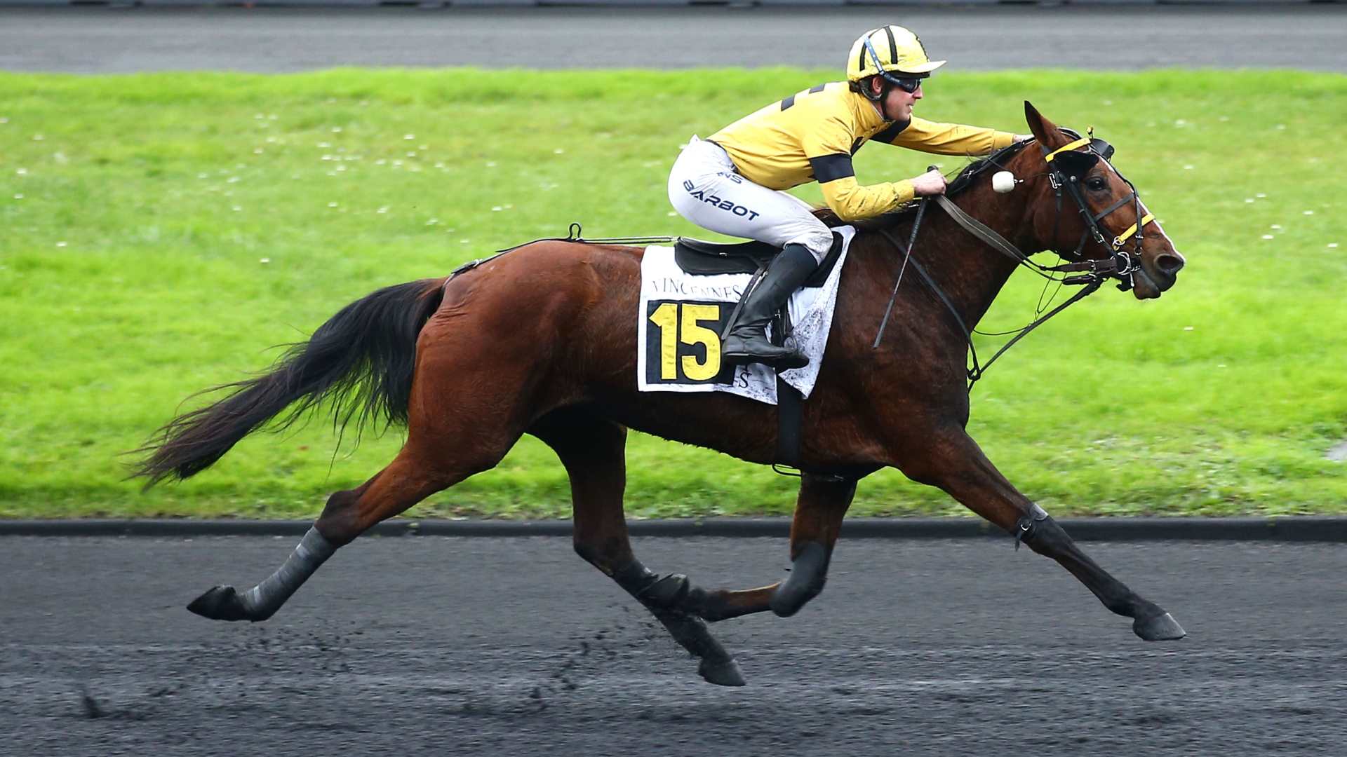 découvrez le retour triomphal du chêne en compétition, une performance remarquable qui célèbre la puissance et la résilience de cet arbre majestueux.