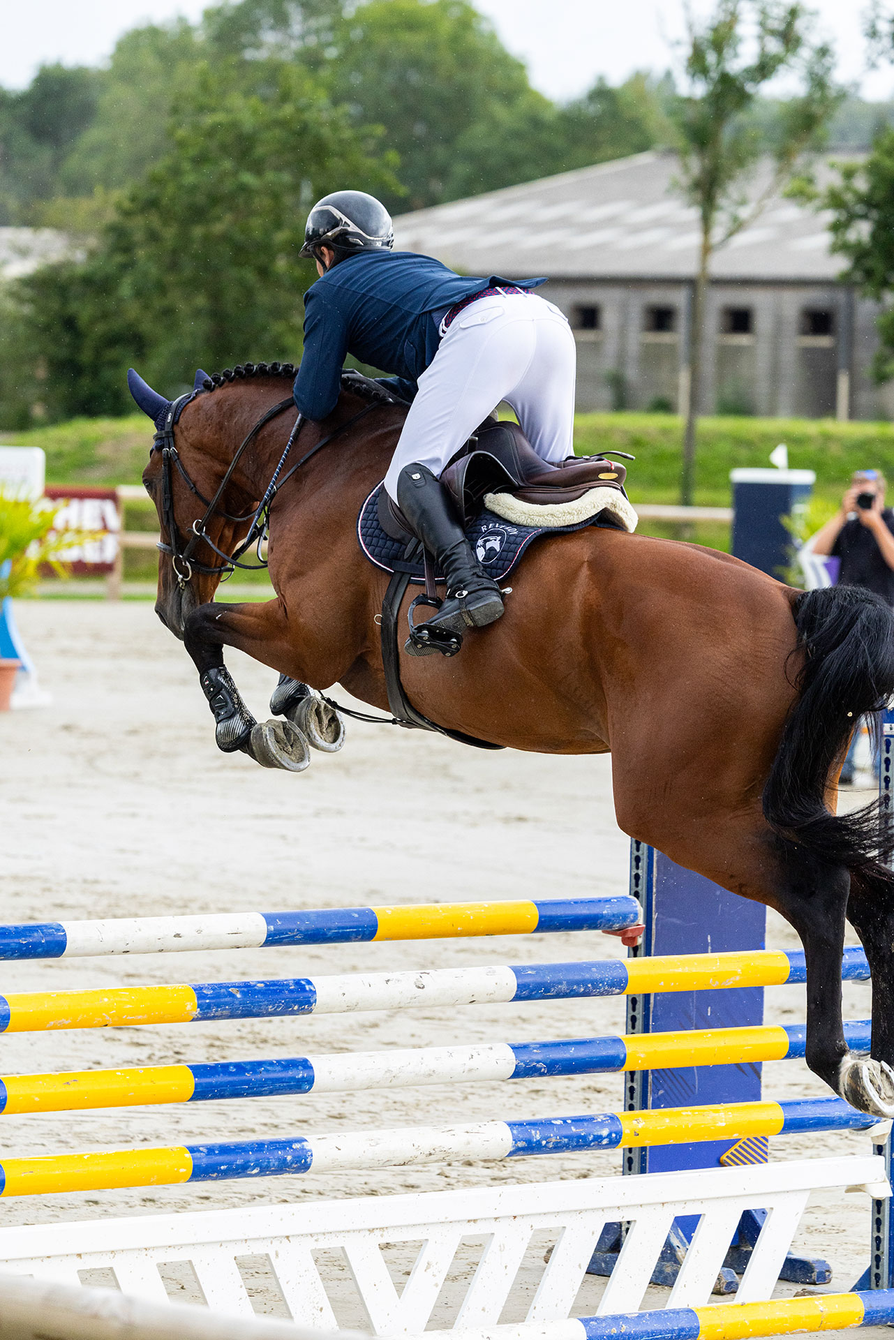 découvrez reverdy sport horses, leader en innovation dans l'étalonnage de chevaux de sport, alliant performance et excellence génétique.