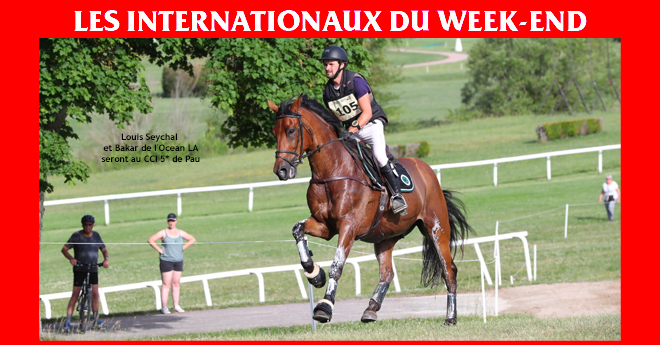 découvrez reverdy sport horses, leader en innovation dans le domaine de l'étalonnage pour des chevaux de sport performants et d'exception.
