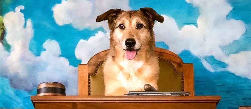 découvrez la critique d'abel quentin sur l'ère de l'ia générative, une analyse approfondie des impacts et enjeux de cette technologie révolutionnaire.