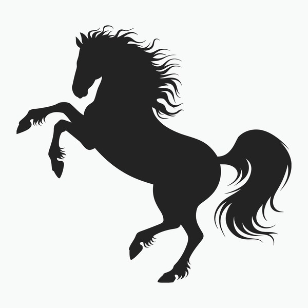 découvrez les chevaux en liberté près des éoliennes à plouarzel, un spectacle naturel alliant beauté animale et énergie renouvelable dans un cadre paisible.