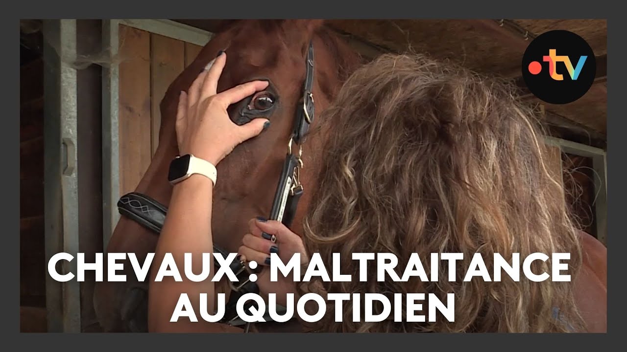 une éleveuse de chevaux obtient une condamnation pour diffamation, illustrant les conséquences juridiques des propos diffamatoires.