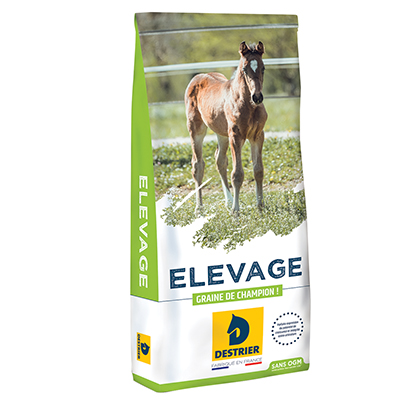 diffamation : une éleveuse de chevaux obtient gain de cause avec une condamnation judiciaire, protégeant ainsi sa réputation.