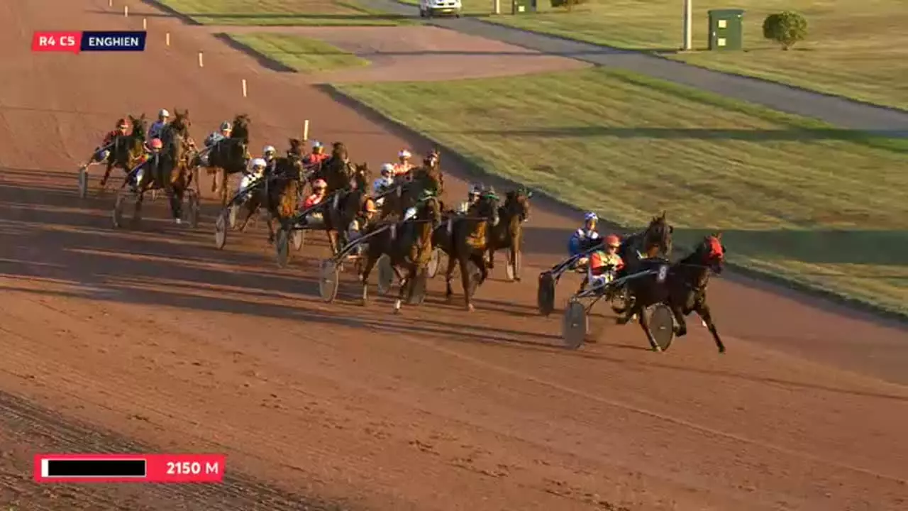 découvrez comment les éleveurs du cotentin brillent et sont mis à l'honneur sur equidia, la chaîne dédiée aux courses et à l'univers hippique.