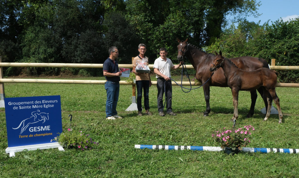 découvrez comment les éleveurs du cotentin sont mis à l'honneur sur equidia, la chaîne dédiée aux courses hippiques et à l'élevage.