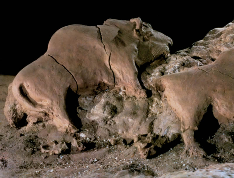 une grotte préhistorique dévoile des peintures anciennes représentant des mammouths et des bisons, offrant un précieux aperçu de la vie des premiers humains.