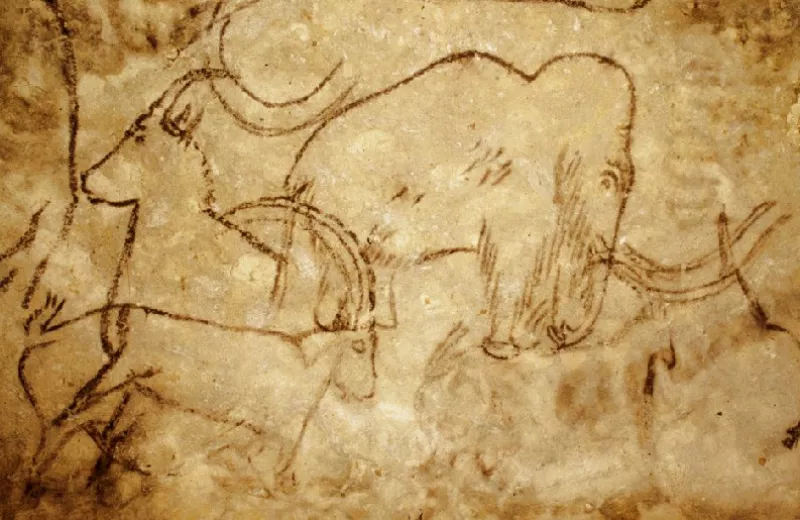une grotte préhistorique dévoile des vestiges exceptionnels de mammouths et de bisons, offrant un aperçu fascinant de la faune ancienne et des premiers habitants.