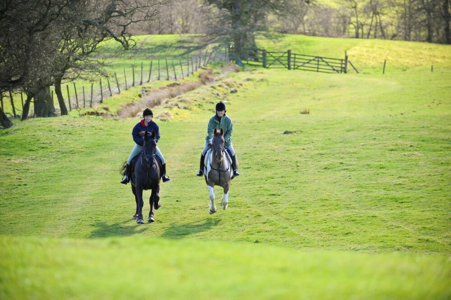 découvrez pourquoi les jeux avec des chevaux sont censurés sur steam et les raisons derrière cette décision controversée.