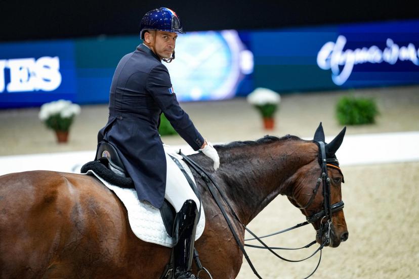 affaire judiciaire concernant un individu poursuivi pour des atteintes sexuelles sur des chevaux, mettant en lumière des faits graves et les procédures en cours.