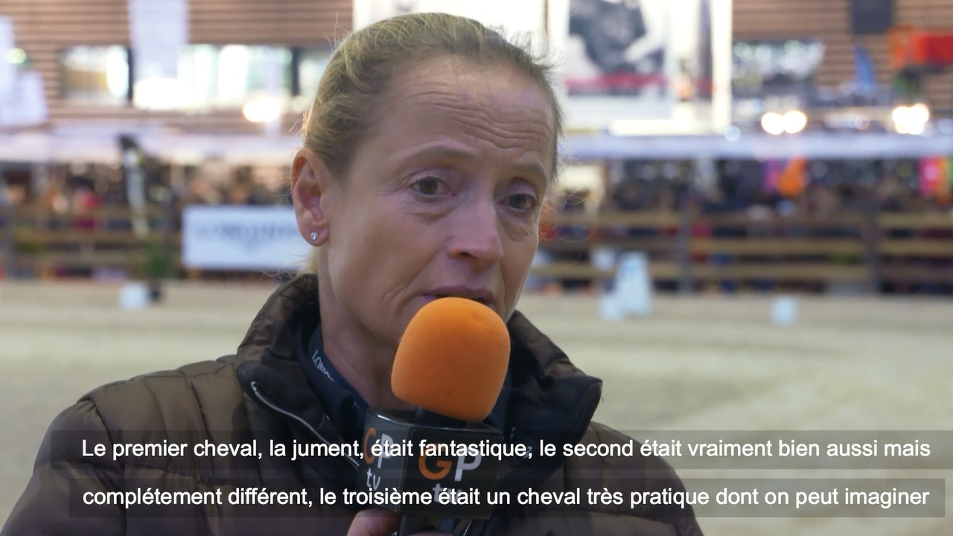 découvrez les jeunes talents équins de saint-lô, une ville célèbre pour son excellence dans le domaine du cheval et l'élevage de poulains prometteurs.