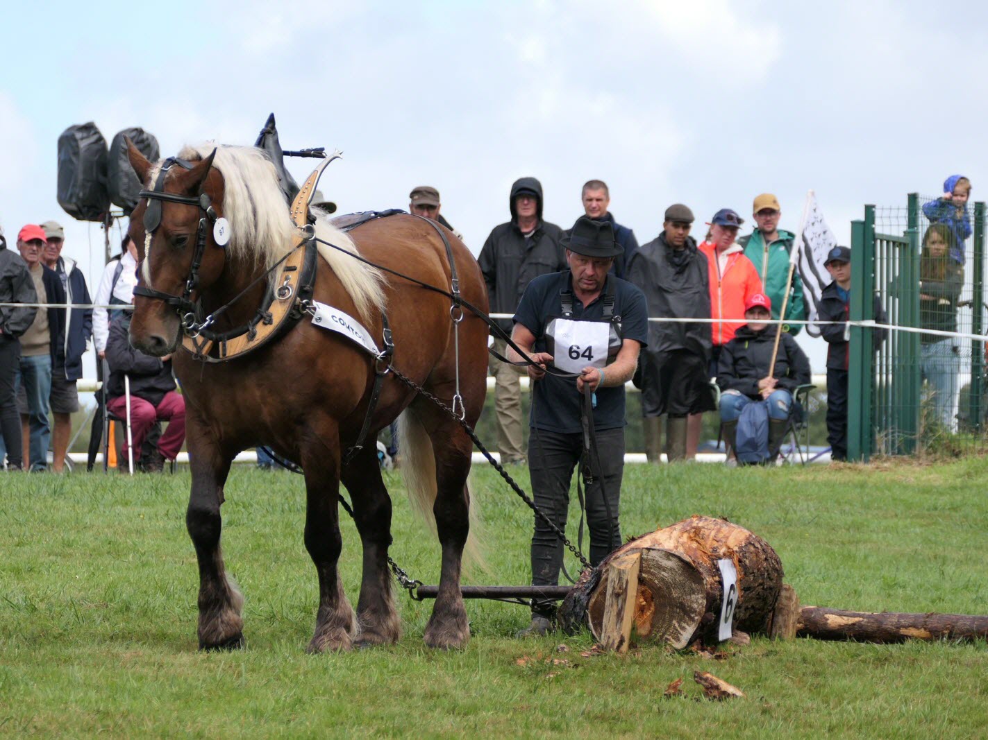 découvrez le lancement d'une nouvelle écurie professionnelle automobile en seine-et-marne, alliant passion, performance et innovation pour les amateurs de sports mécaniques.