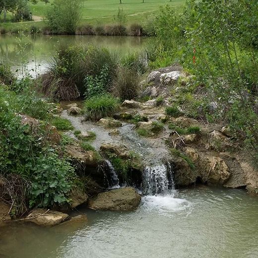 découvrez le golf de barbet à lombez, un lieu unique où le soleil et le sport se rencontrent pour une expérience de golf inoubliable.
