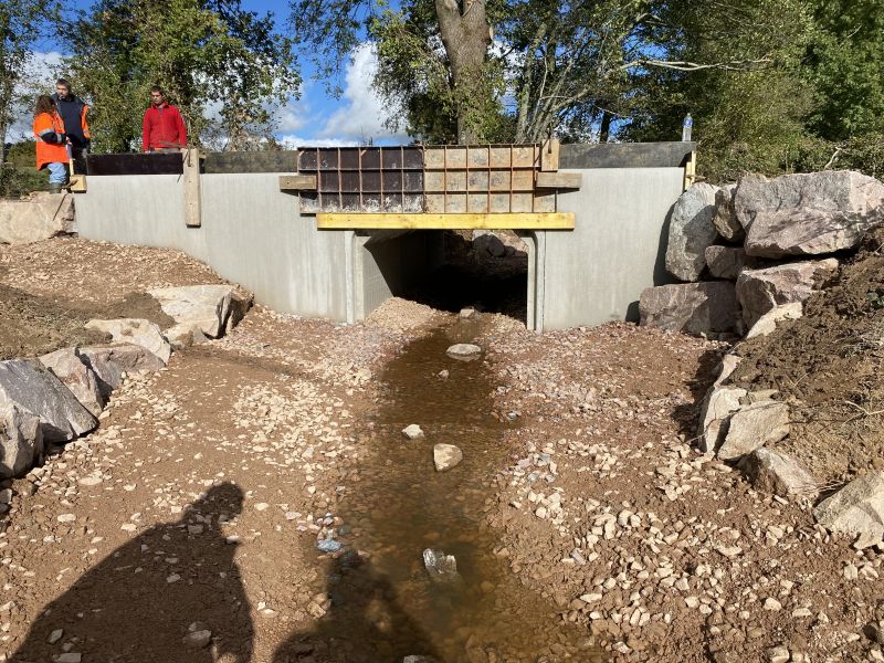 palinges : experts en rénovation de ponts et gestion financière pour des projets sécurisés et maîtrisés.